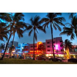 The Best Miami Tours!