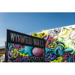 Want to Tour Miami and Wynwood Completely?