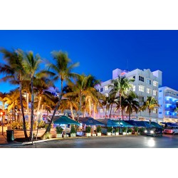 Looking for a Tour in Miami Beach?