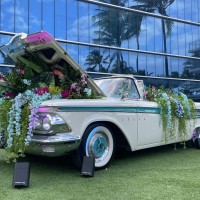 Antique Car Tours in Miami