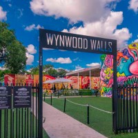 City Tour Wynwood in Convertible Classic Car Tours