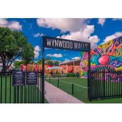 Ever wonder of all the places you should Visit in Wynwood?